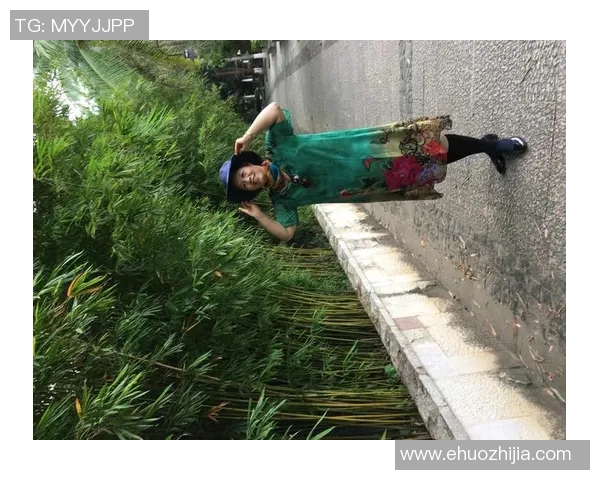 F14与歼击15的空中对决解析及其战斗力的全面比较