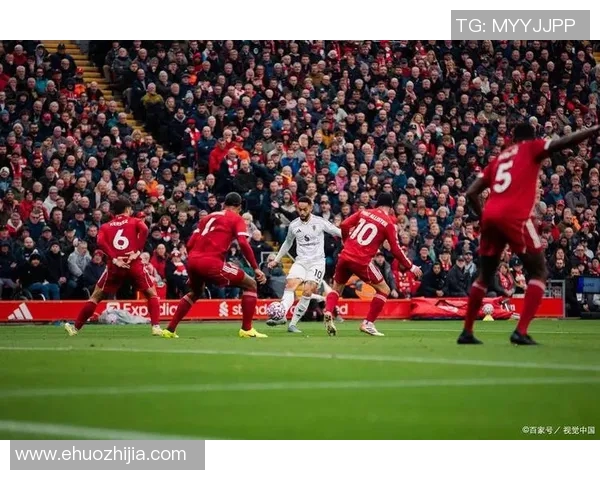 布赖顿对阵利物浦精彩直播全程回顾与赛后分析