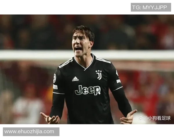 弗拉霍维奇:从天才前锋到足坛新星的成长之路与未来展望 弗拉霍维奇:从天才前锋到足坛新星的成长之路与未来展望