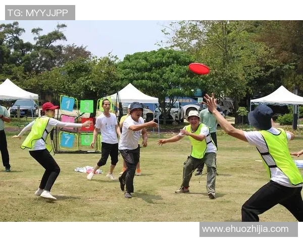 飞盘运动的崛起与吴丽的成功秘诀深度解析MBA