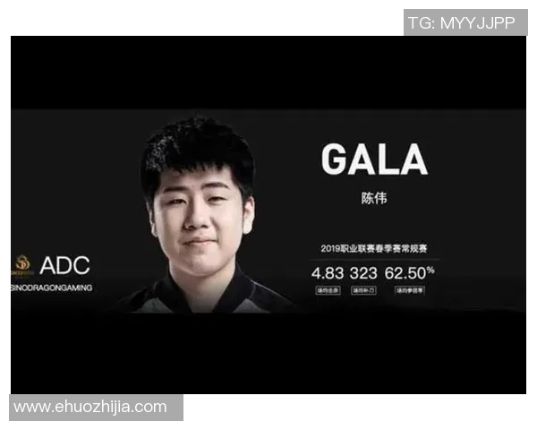 对话陈伟：回顾王者荣耀职业生涯与未来发展展望